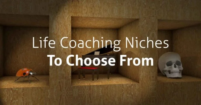 15 Life Coaching Niches to Choose From life coaching niches