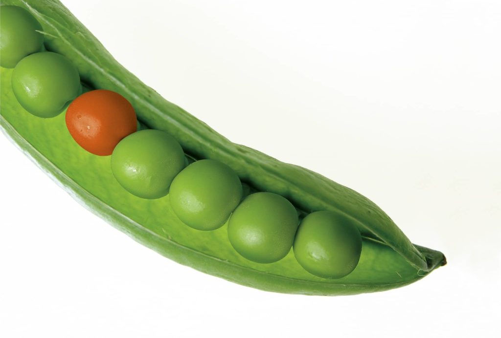 This image has an empty alt attribute; its file name is peas-580333_1920-1024x692.jpg