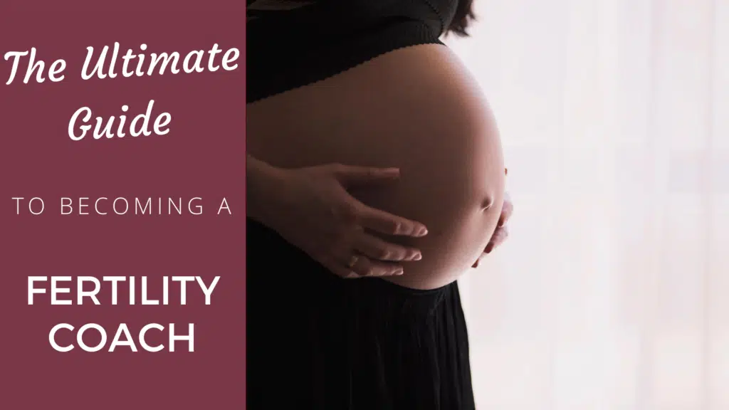 Fertility Coach: A Complete Guide for Success [2024 Edition] fertility coach