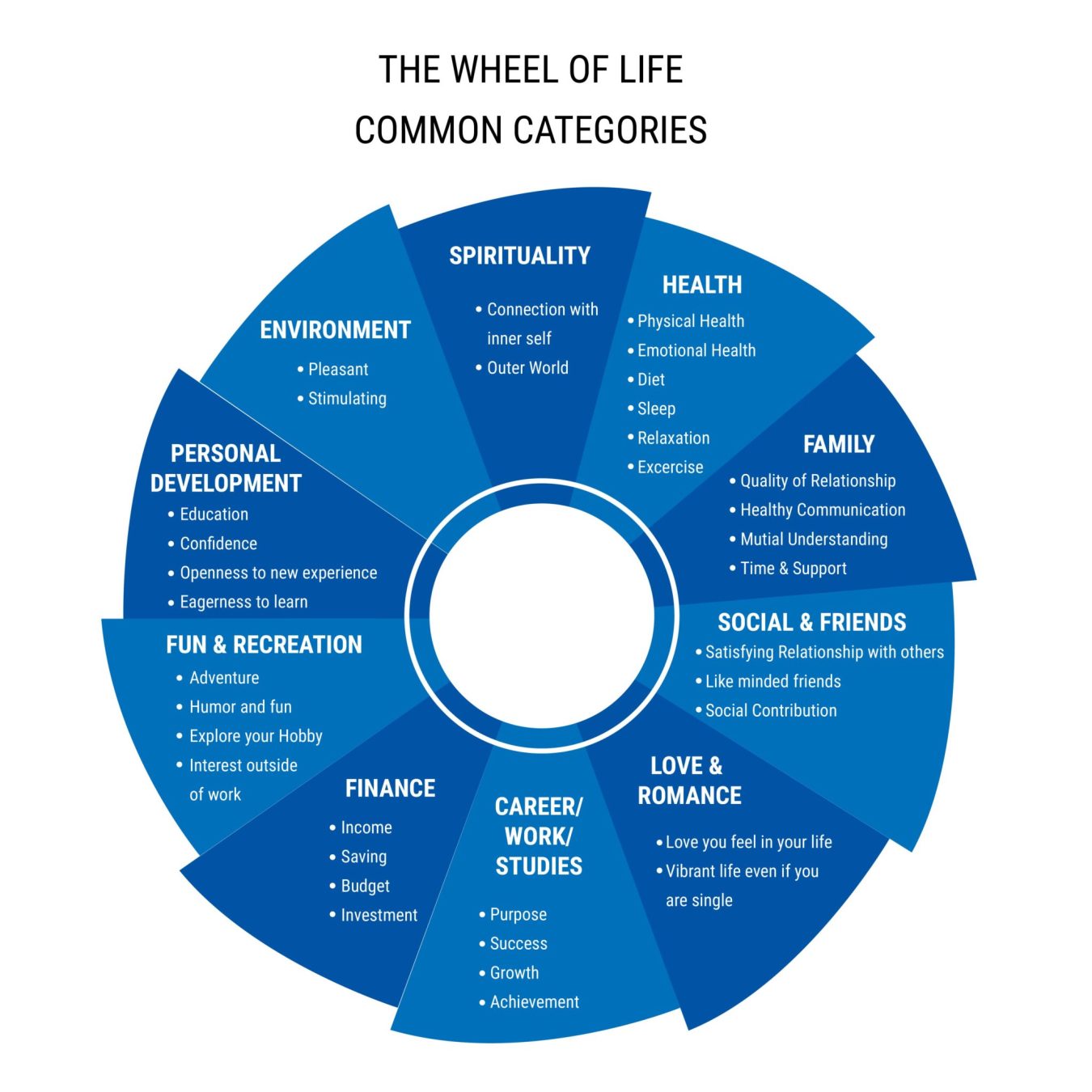 THE WHEEL OF LIFE COMMON CATEGORIES