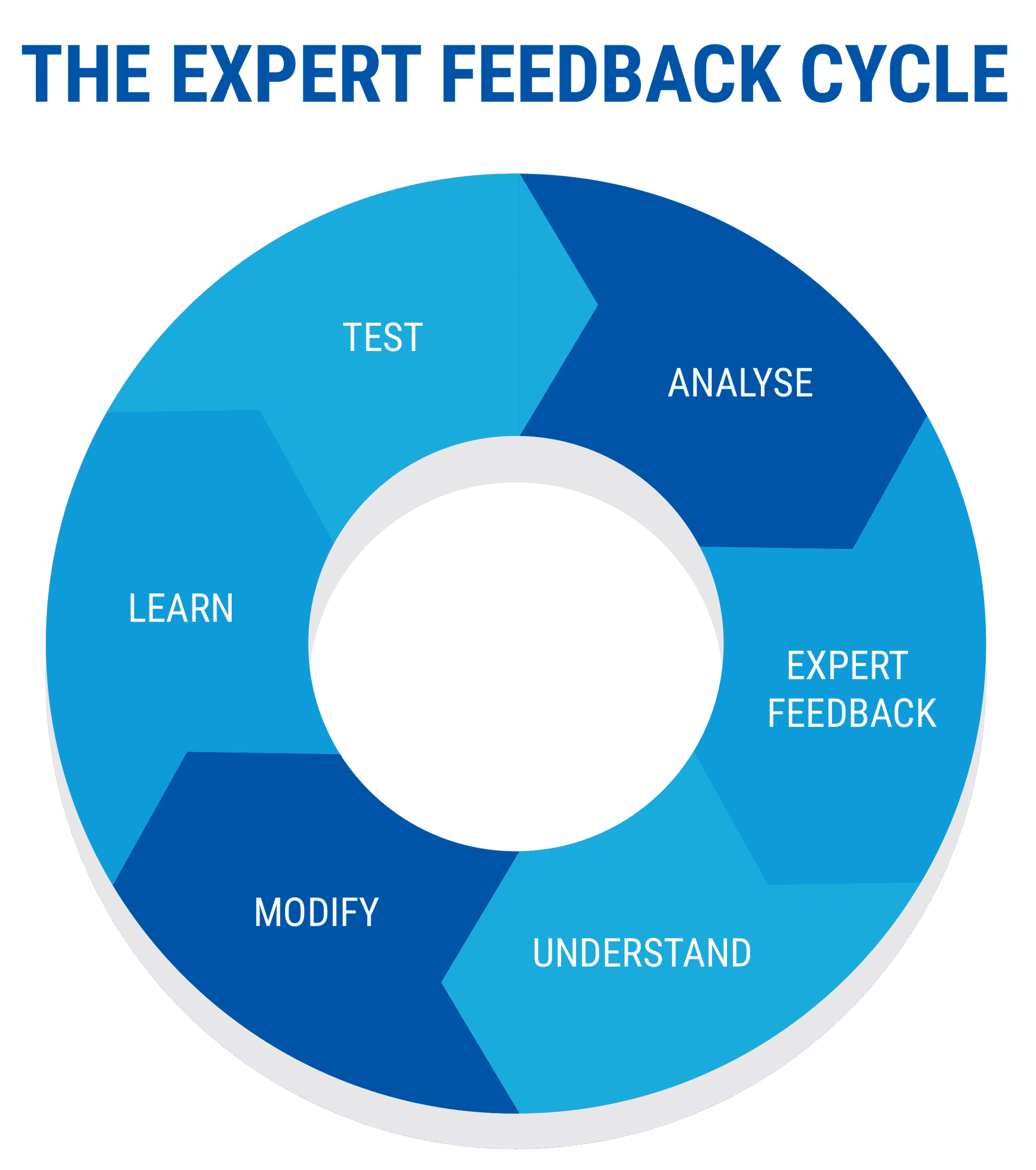 the expert feedback cycle - starting a coaching business while working full-time