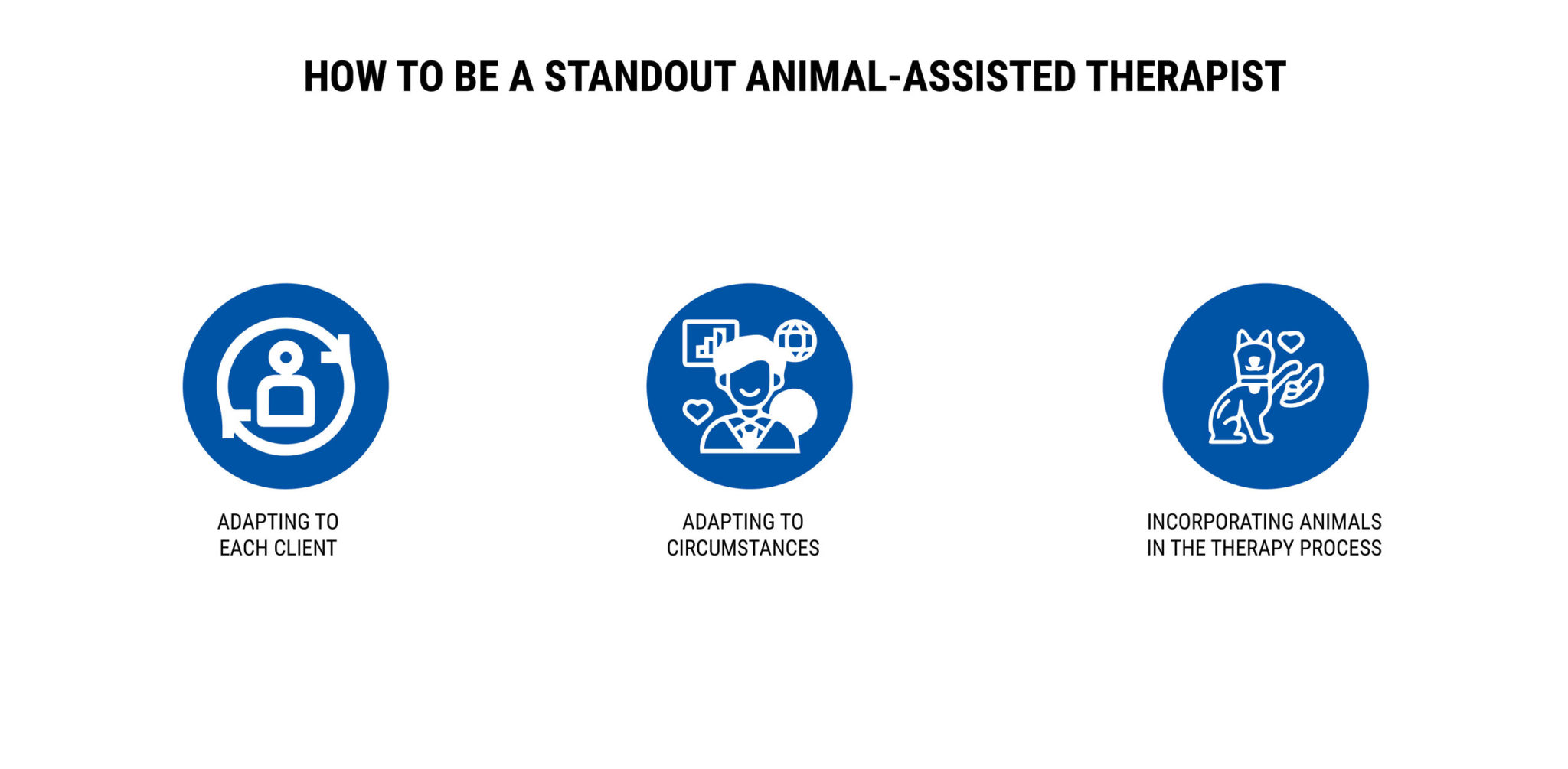 HOW TO BE A STANDOUT ANIMAL-ASSISTED THERAPIST
