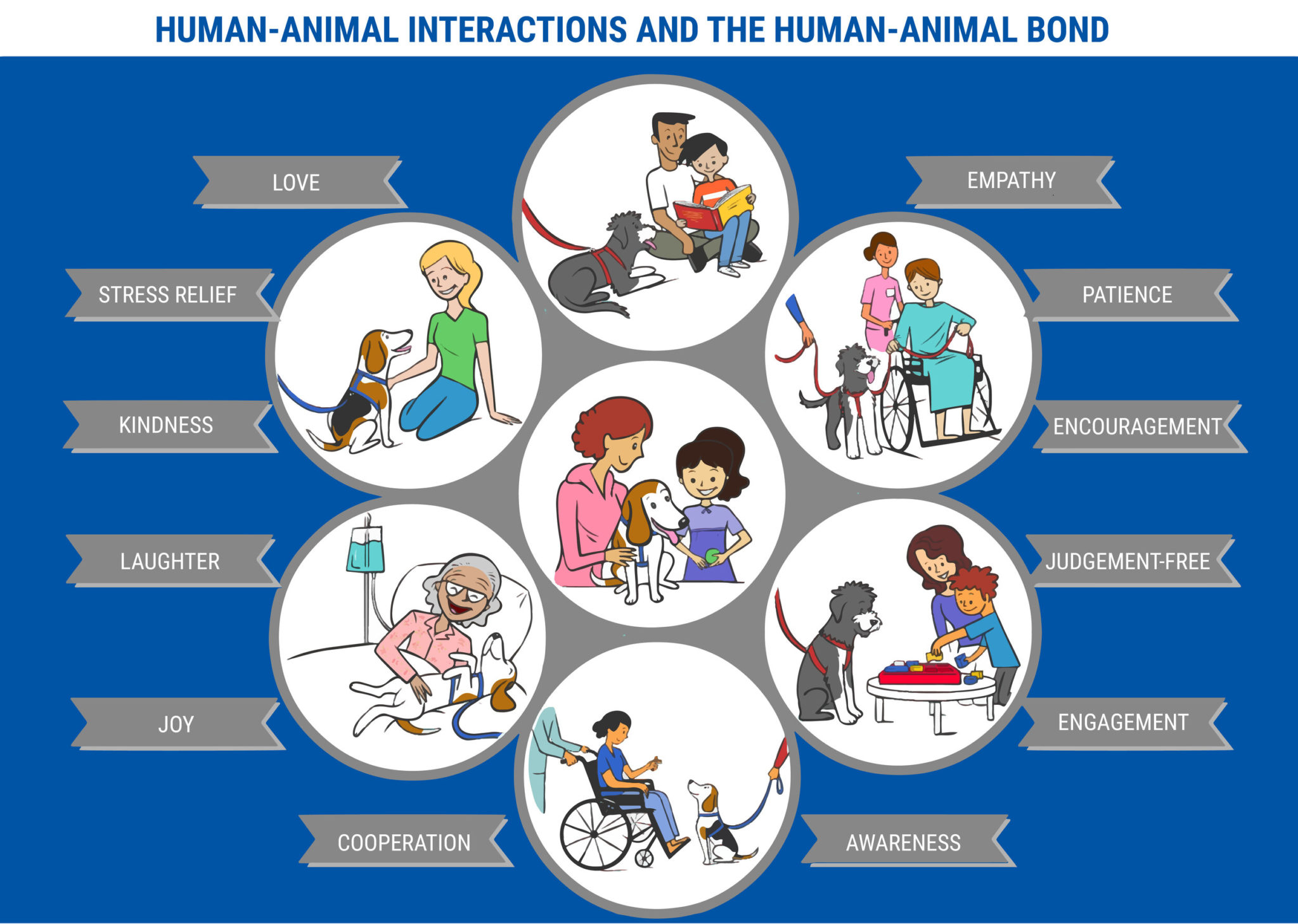HUMAN-ANIMAL INTERACTIONS AND THE HUMAN-ANIMAL BOND