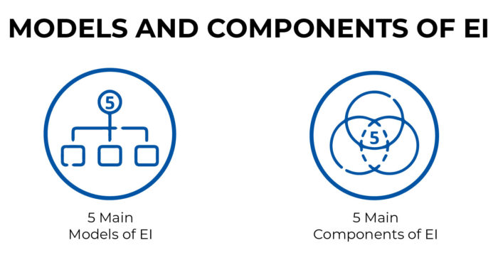 MODELS AND COMPONENTS OF EI