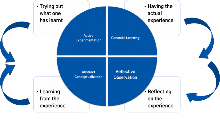 Kolb's Cycle of Learning Kolb's Cycle