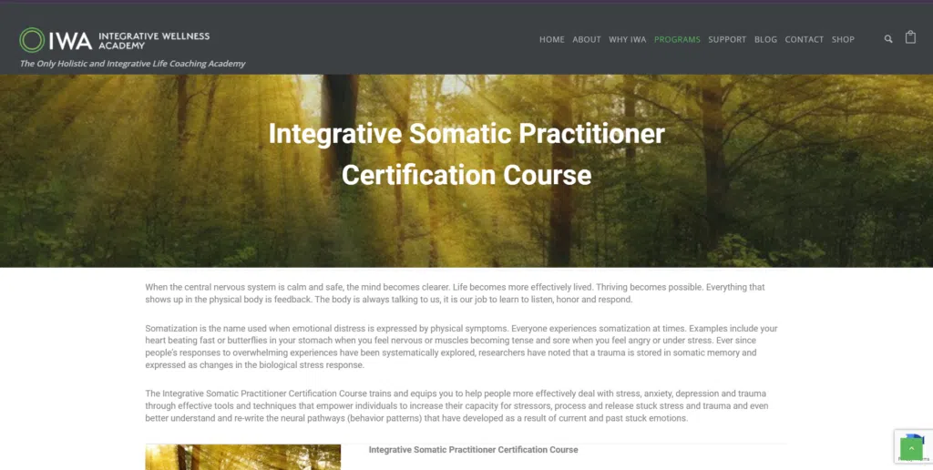 The IWA Integrative Somatic Practitioner Certification Course